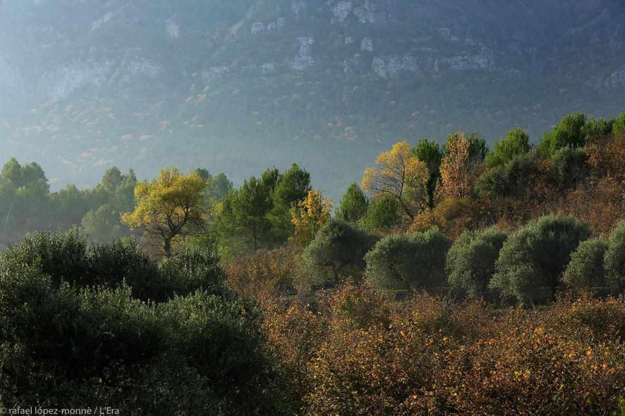 Casa Rural Lera Torre de Fontaubella Esterno foto